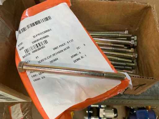 Bouchon à vis (41x)