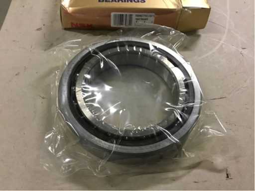 Spindle Bearing (PL/D/39)