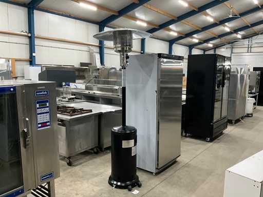 Eurom THG 14000 DE Patio Heater