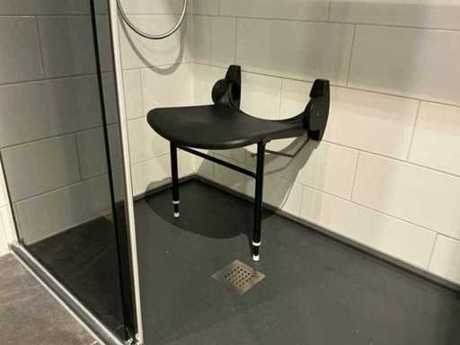 Shower seat