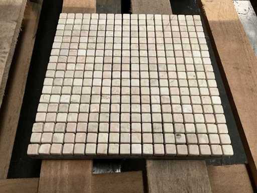 Botisino Large Batch Mosaic