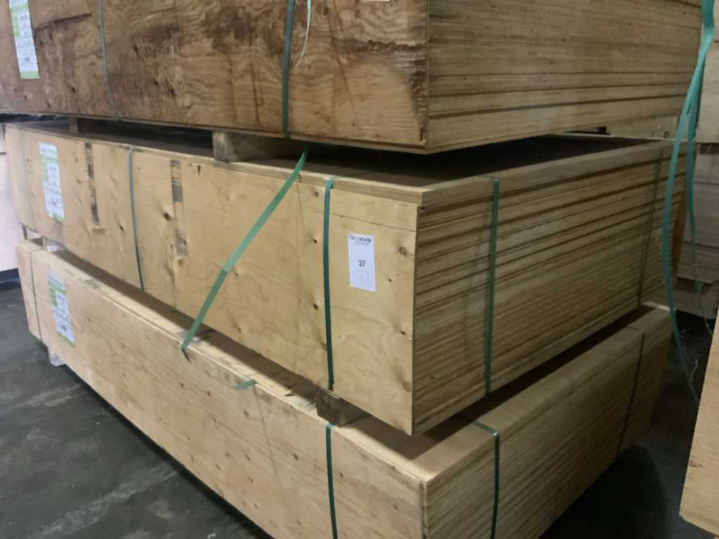 Bratsk Plywood pak Multiplex Oregon (2x)