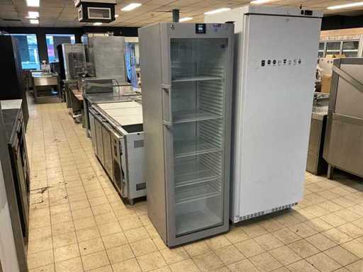 Porte vitrée de réfrigérateur Liebherr FKvsi 4113