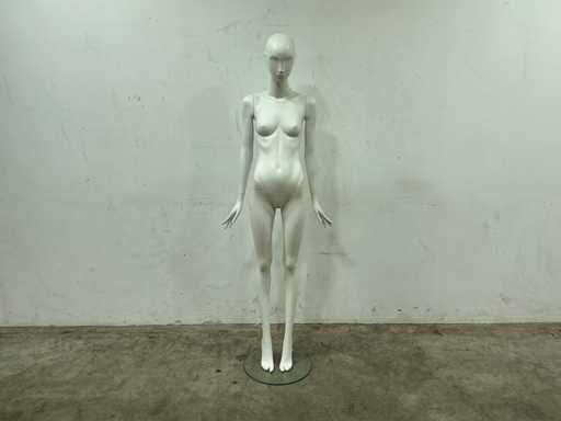Manikin (6x)