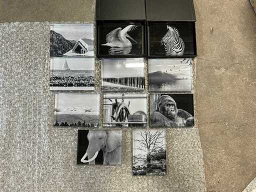 Glass prints/photo blocks (11x)