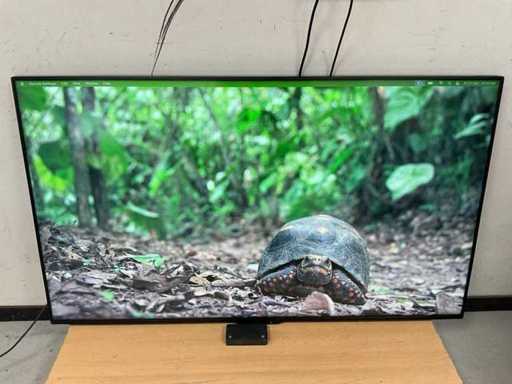 Sharp (PN-Q601) 60", 1920x1080 (FHD) IPS Monitor