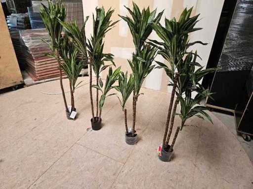 4 plantes artificielles Dracaena