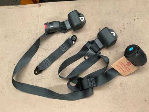 Immi Harness Gürtel (2x)