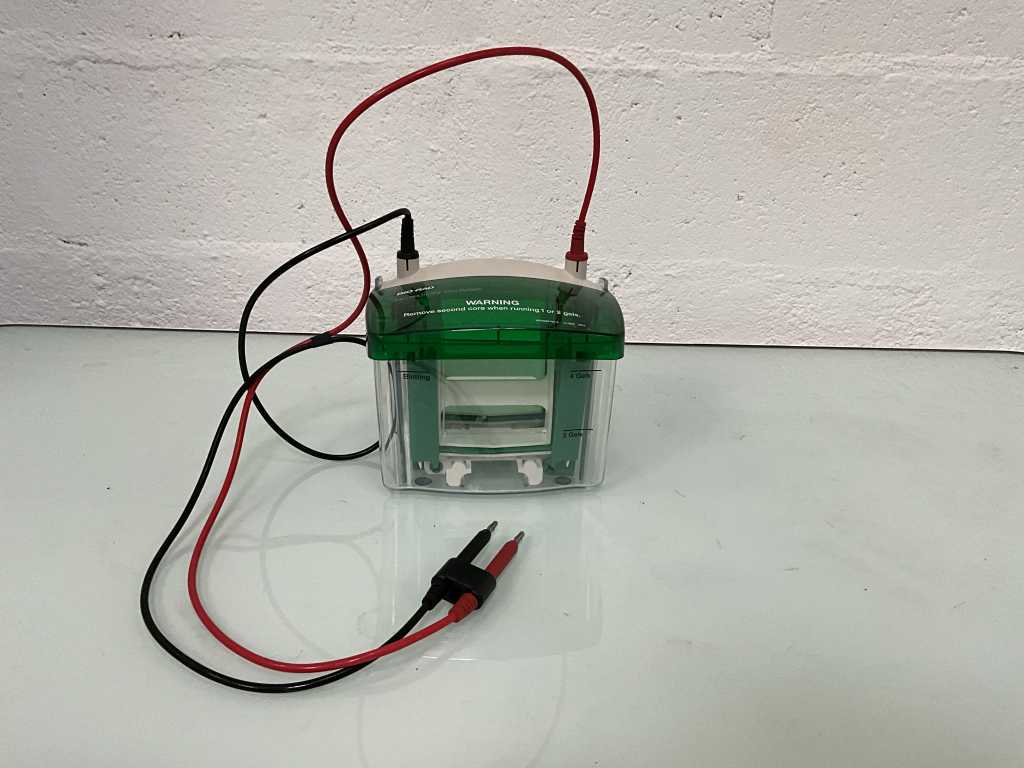 BIO-RAD Mini-PROTEAN Tetra System Sistem de electroforeză verticală
