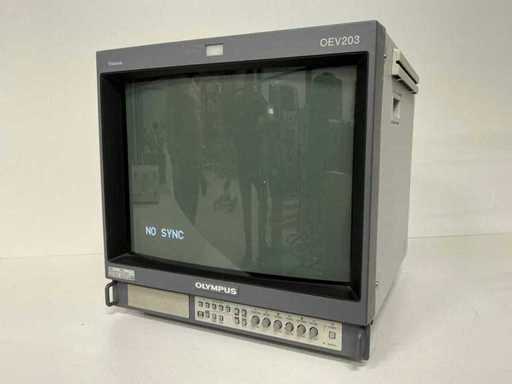 Olympus - OEV203 - Monitor