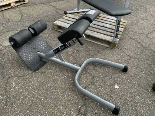 Gym80 Signum hyperextension Krachtstation