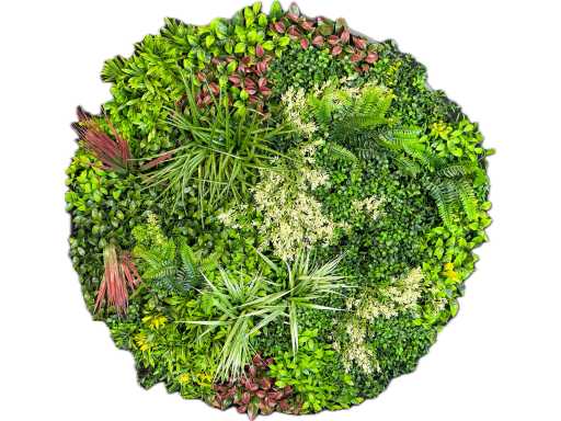 Panel ścienny Royal pachira okrągły (5x)