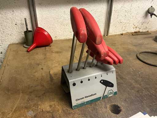 Inbussleutelset met standaard