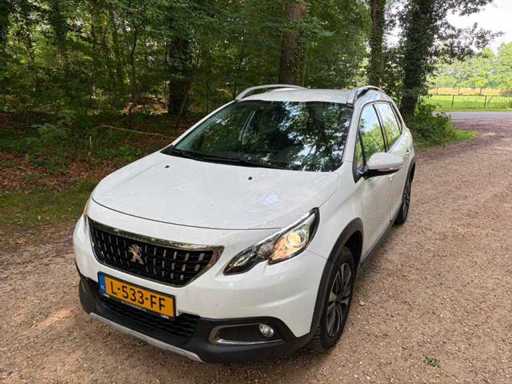Peugeot 2019 Auto automatica passeggeri