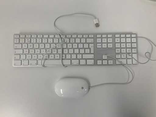 Apple - Clavier QWERTY filaire A1243 Magic + Souris Magic filaire A1152
