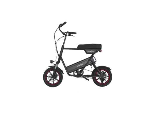Windgoo - F1 - Electric Bike