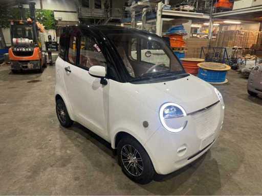 Micromașina electrică 2026 (45 km/h)