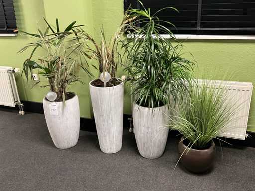 Houseplant in pot (4x)