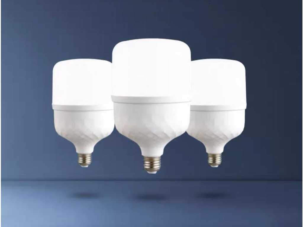 80 x LED bulb - 48W - E27 - 6500K (daylight)