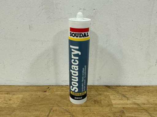 Soudal - Sigilant acrilic (14x)