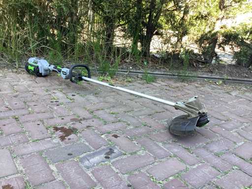 Ego ST1210E Bosmaaier