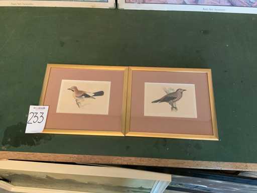 Stampa incorniciata di uccelli (2x)