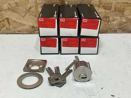 Cylinder DOM (6x)