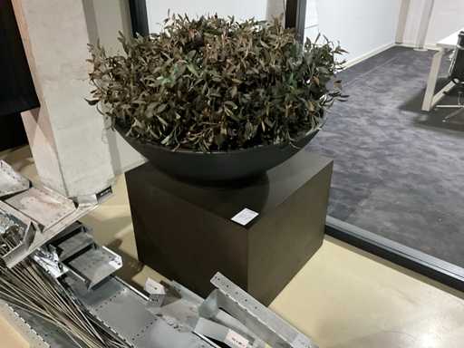 Kunst plant olijf met pot op presentatie kubus