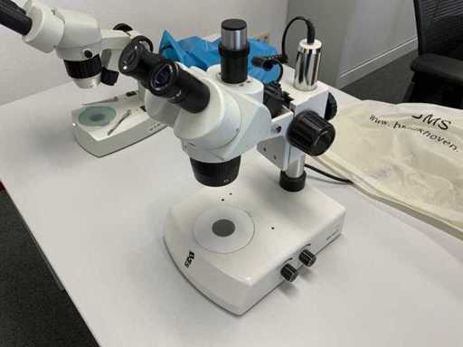 BMS 746575 Microscope