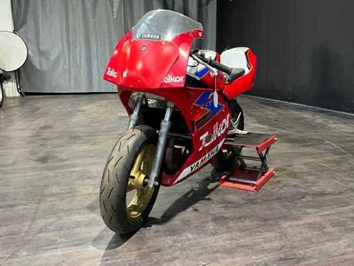 Yamaha TZMR Moto da Corsa 50CC