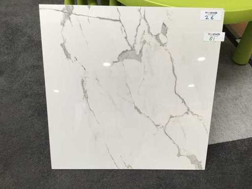 Kutahya Albatros Gepolijst 60x60 cm Tegel 108 m²