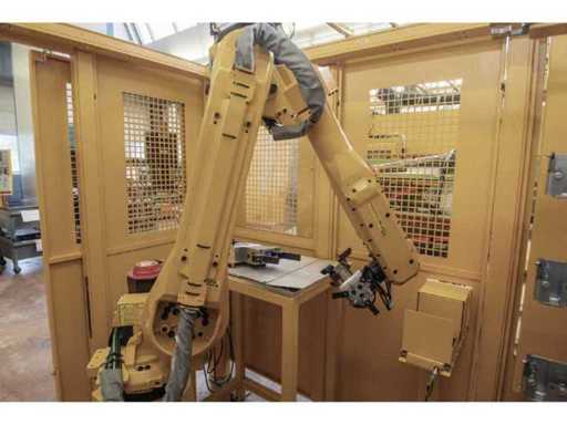 (C-1001) Fanuc-Ladesystem mit Roboter