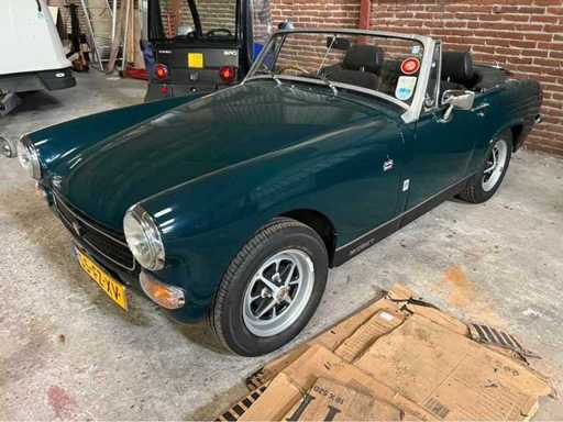 Mg - Pitic - Bătrân - 1977