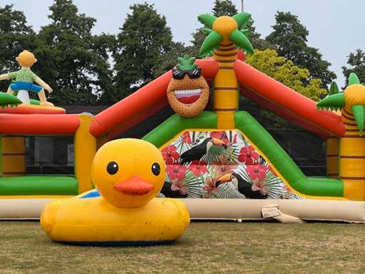 Eendjes vissen - spel - compleet