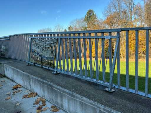 Valbeveiliging/leuning (2x)