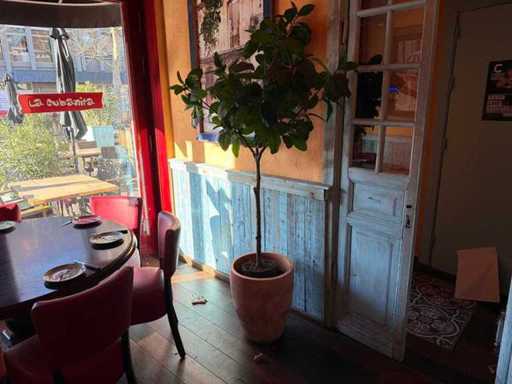 Artificial plant in pot (5x)