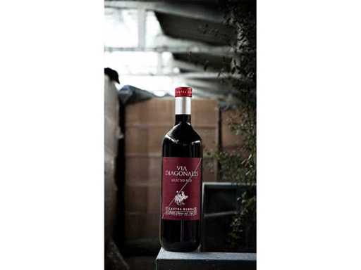 2009 - Castra Rubra Via Diagonalis 2009 - petite bouteille - 1 palette
