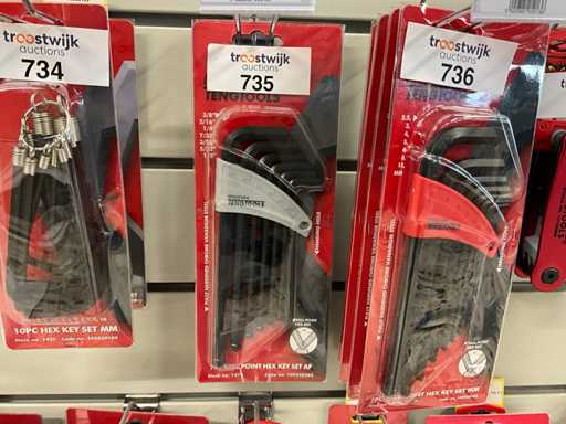 Tengtools Chiave esagonale impostata punto a sfera (2x)