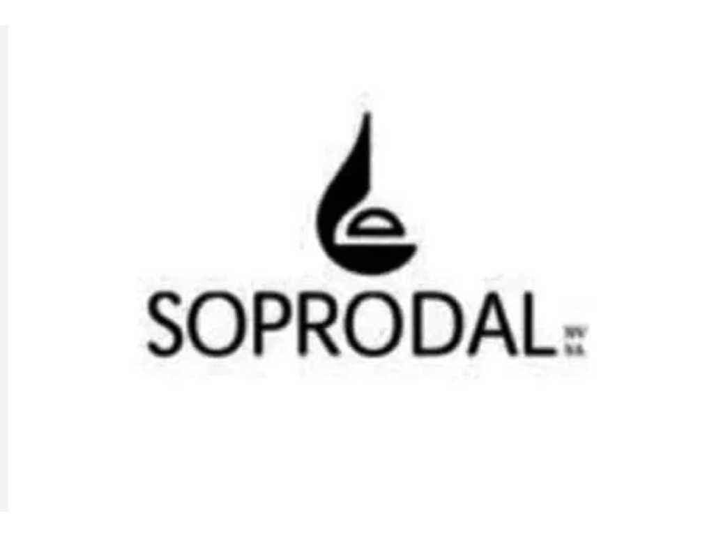 Chemical company Soprodal due to bankruptcy