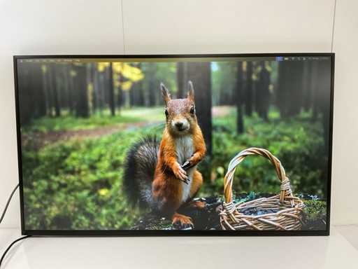 LG (43UH5F-H) 43", 3840x2160 (UHD) IPS Monitor