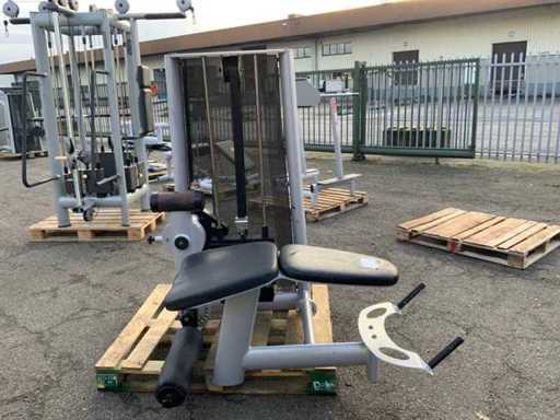 Gym80 Signum phrone Leg Curl Central