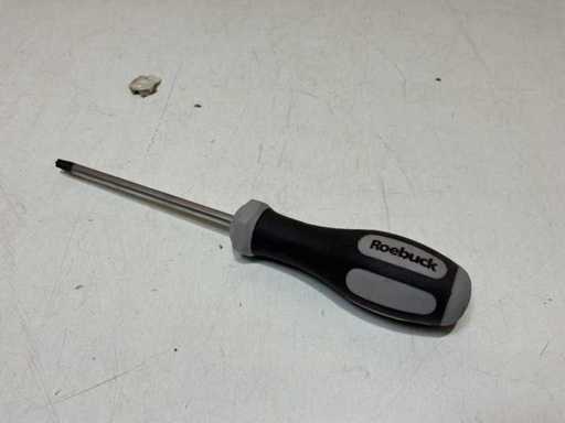 Roebuck Screwdriver torx T30 (8x)