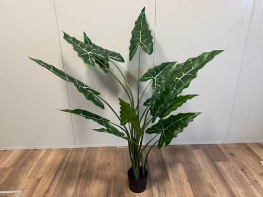 Roślina sztuczna Real touch Alocasia (175 cm wysokości)