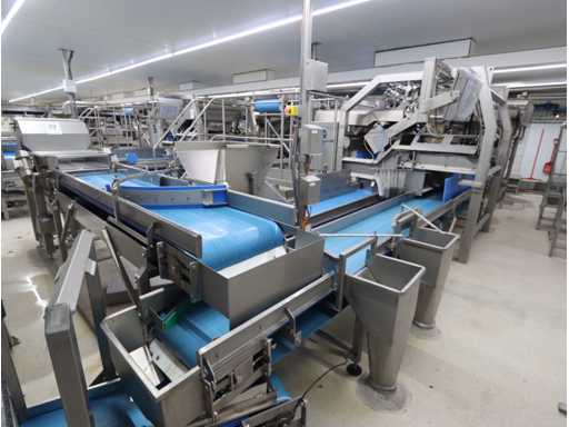 Aardappel sorteerlijn