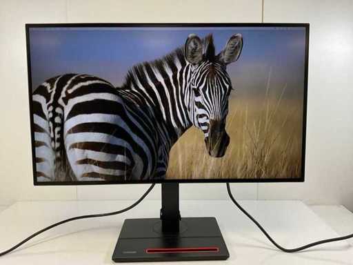Lenovo (P27h-20) 27", 2560x1440 (QHD) IPS Monitor