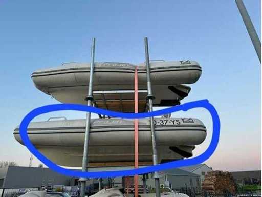 Zodiac - Project 350 - Rib