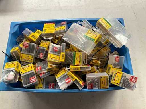 Rotadrill Verschiedene Schrauben aus Edelstahl, verzinkt und Messing in Blase (100x)