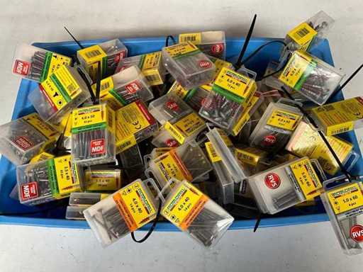 Rotadrill Diverse schroeven RVS, verzinkt en messing in blister (100x)