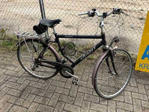 Giant Trooper Herenfiets v.v. 7 versnellingen maat:56cm