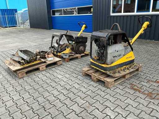 Wacker Neuson DPU 6055 Vibrationsplatte (2x)
